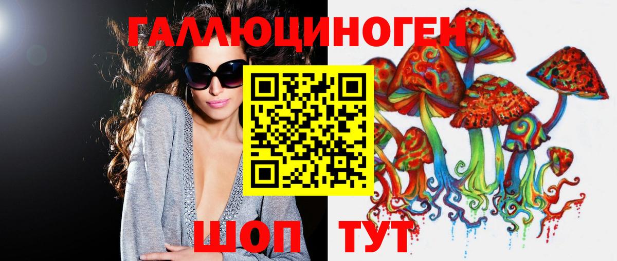 Галлюциногенные грибы Psilocybine cubensis Нефтекамск