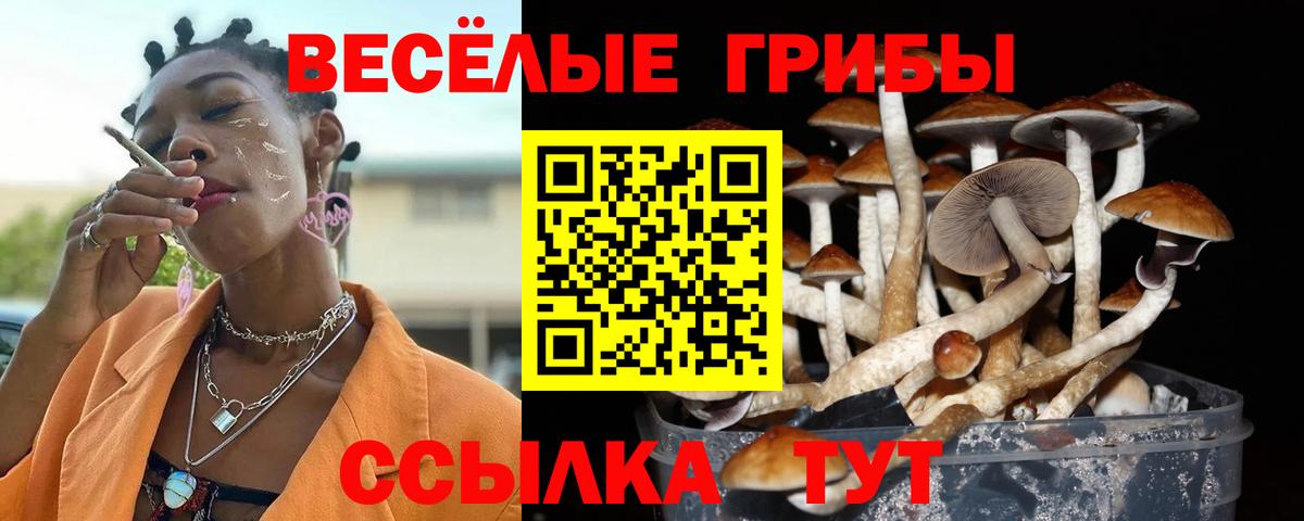 Нефтекамск  Галлюциногенные грибы Psilocybine cubensis  Вход с VPN 